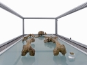 Exhibitor: Museum Blaubeuren &bull; Project: Jahr des Neandertalers &bull; Design: mezzo systems GmbH DE